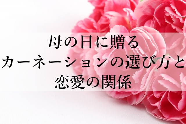 母の日に贈るカーネーションの選び方と恋愛の関係